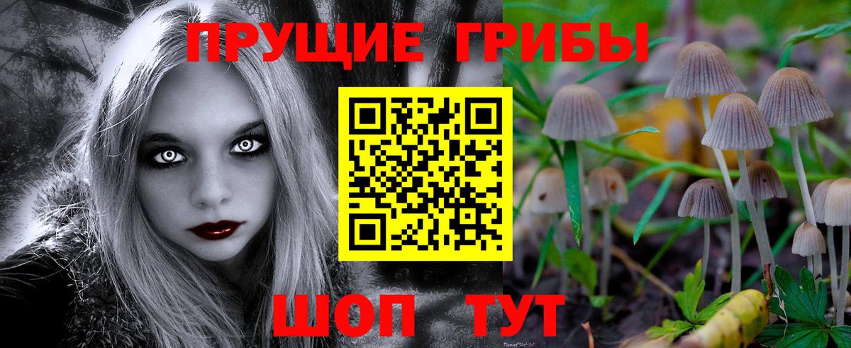 Клинцы  Псилоцибиновые грибы мухоморы  Псилоцибиновые грибы Psilocybe  Вход с VPN 